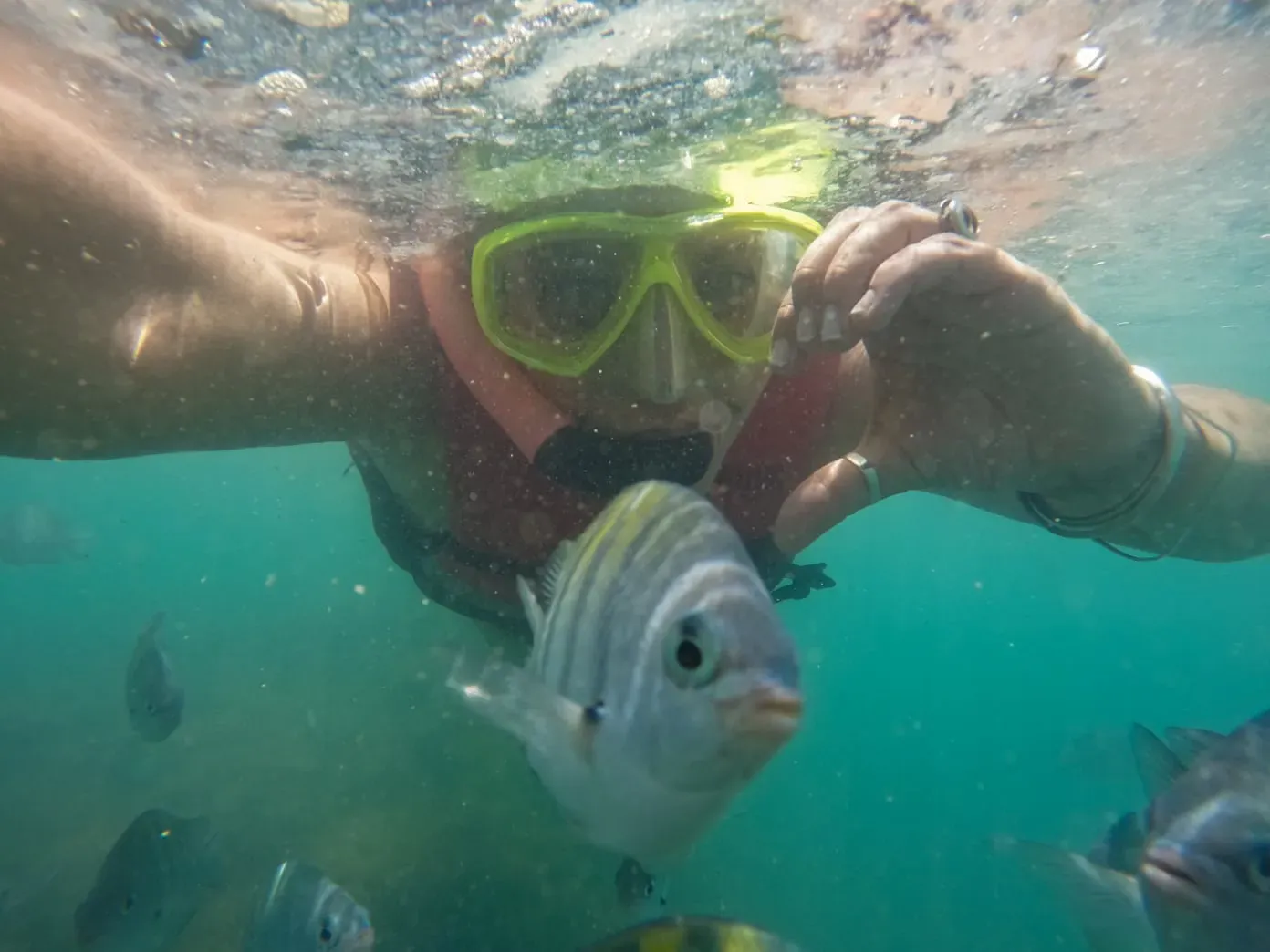 Porto Galinhas